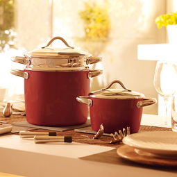 不当包装宣传的冤大头 WMF奈彩米真身解析及德国Silit喜力特厨具品牌介绍